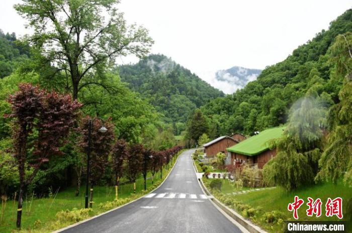 九寨溝熊貓園外景?！【耪瘻峡h委宣傳部提供 攝